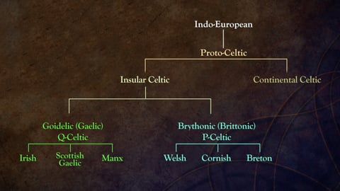 The Celtic World. Episode 4, Celtic Languages in the Ancient World cover image