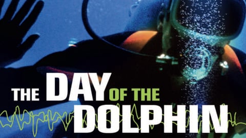 The Day of the Dolphin cover image
