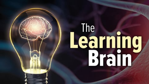 The Learning Brain cover image