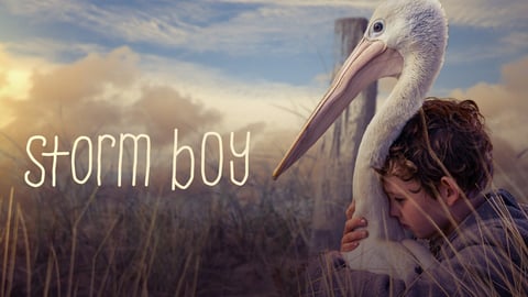 Storm Boy cover image
