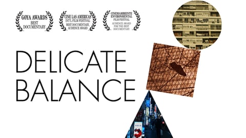 Delicate Balance cover image