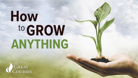 How to Grow Anything cover image