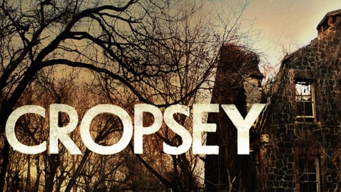 Cropsey cover image