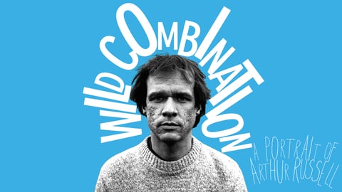 Wild Combination cover image