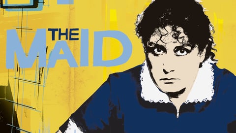 The Maid cover image