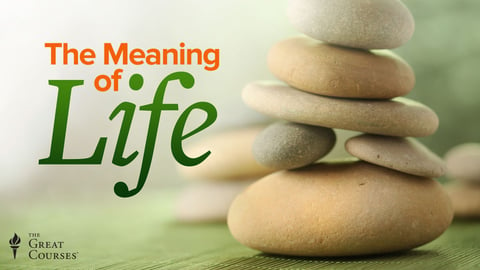 The Meaning of Life cover image