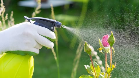 The Science of Gardening. Episode 19, Understanding Pesticides cover image