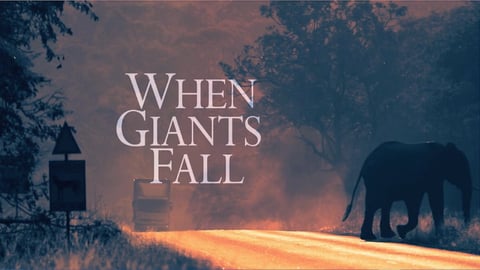When Giants Fall cover image