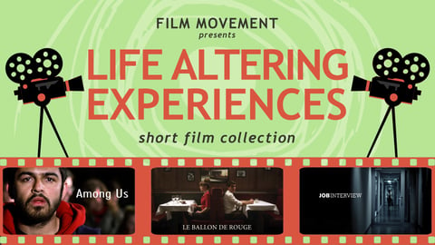 Life Altering Experiences cover image