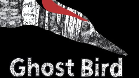 Ghost Bird cover image