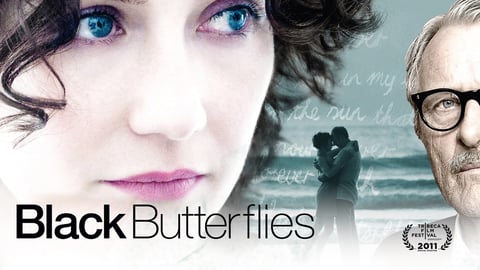 Black Butterflies cover image