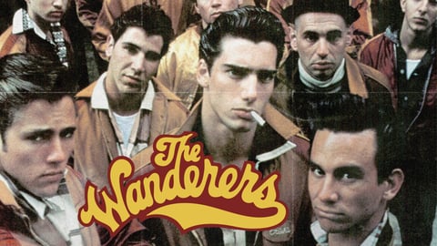 The Wanderers cover image