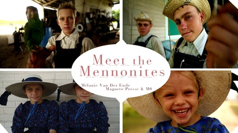 Meet the Mennonites cover image