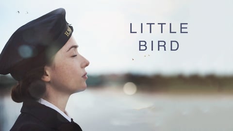 Little Bird cover image