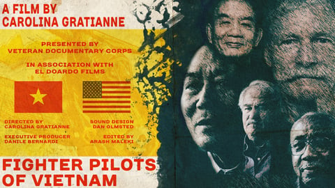 Fighter Pilots of Vietnam cover image