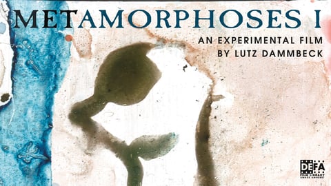 Metamorphoses I cover image