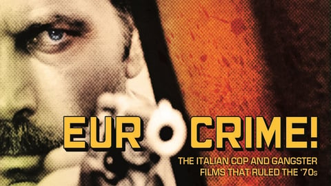 Eurocrime! cover image