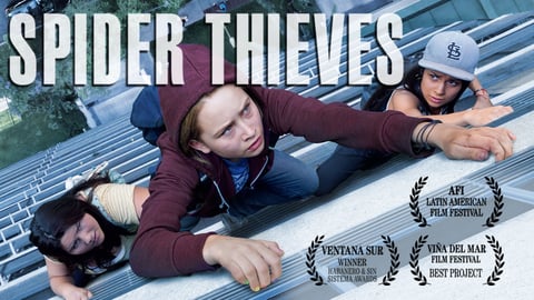 Spider Thieves cover image