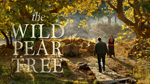 The Wild Pear Tree cover image