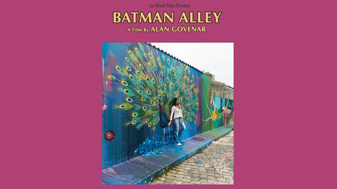 Batman Alley cover image