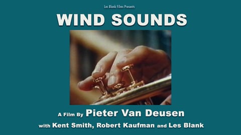 Wind Sounds cover image