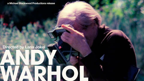 Andy Warhol cover image