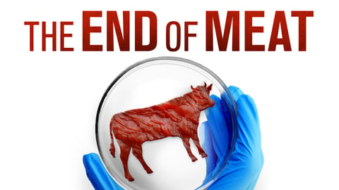 The End of Meat cover image
