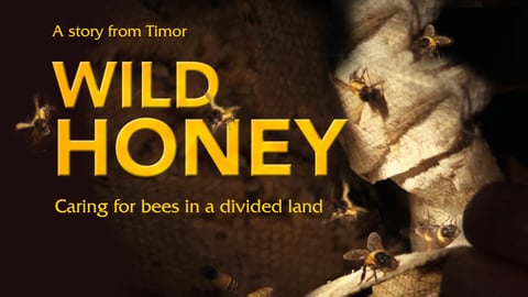Wild Honey cover image
