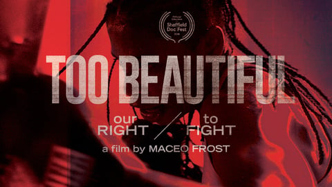 Too Beautiful: Our Right to Fight cover image