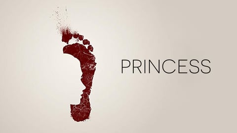 The Princess cover image
