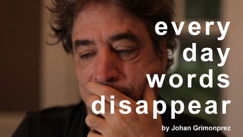 Every Day Words Disappear cover image