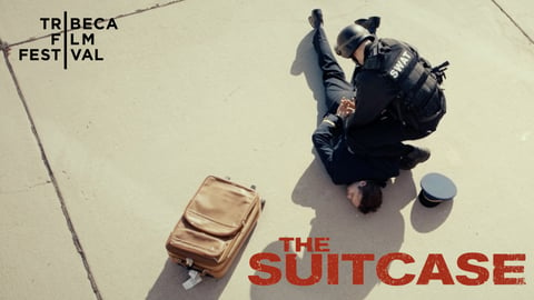 The Suitcase cover image
