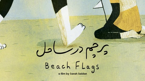 Beach Flags cover image