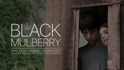 Black Mulberry cover image
