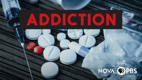 NOVA: Addiction cover image