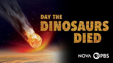 NOVA: Day the Dinosaurs Died cover image