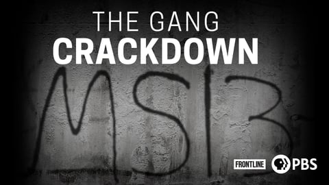 The Gang Crackdown cover image