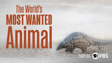 The World’s Most Wanted Animal cover image