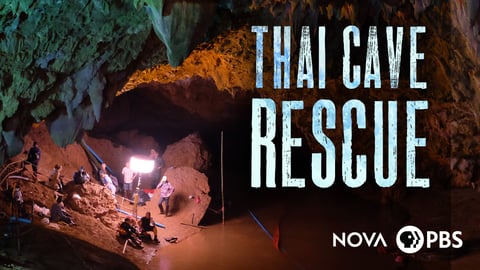 Thai Cave Rescue cover image