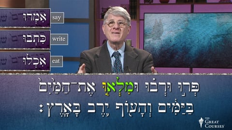 The Imperative Form in Hebrew cover image