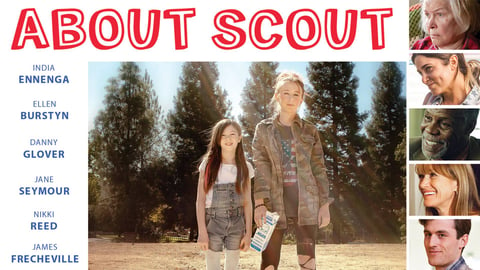 About Scout