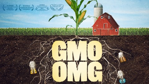 GMO OMG cover image