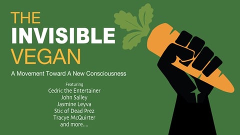 The Invisible Vegan cover image