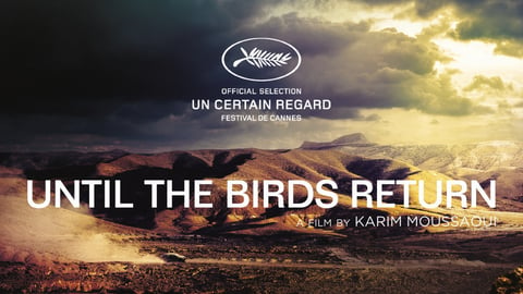Until the Birds Return cover image