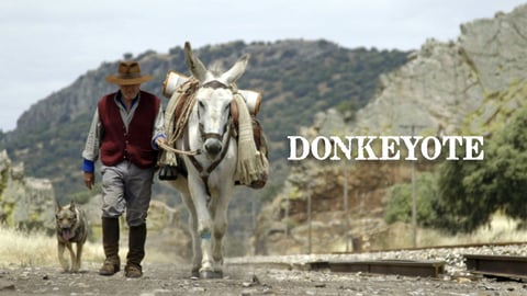 Donkeyote cover image