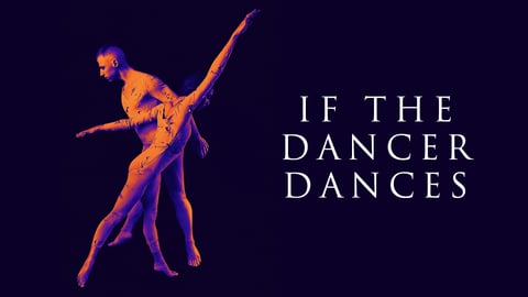 If The Dancer Dances cover image