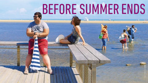 Before Summer Ends cover image