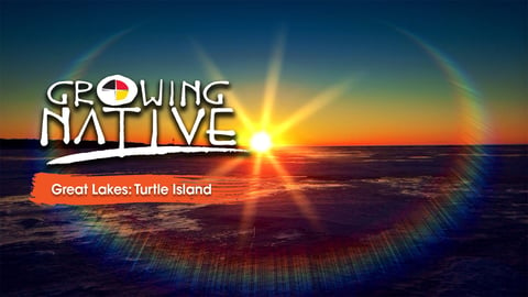 Growing Native Great Lakes: Turtle Island