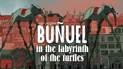 Buñuel in the Labyrinth of the Turtles cover image