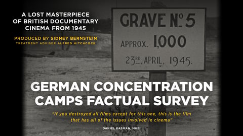 German Concentration Camps Factual Survey cover image